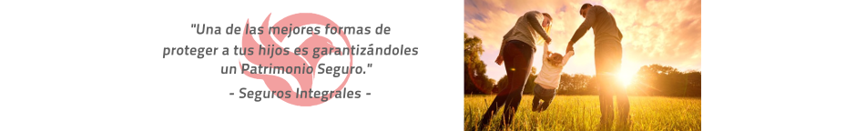 Seguros Integrales