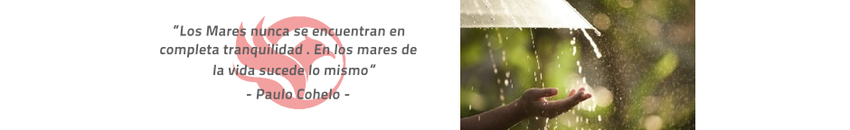 Seguros Integrales
